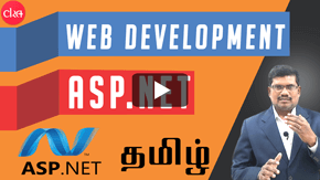 Professional Degree in ASP.NET Web Development