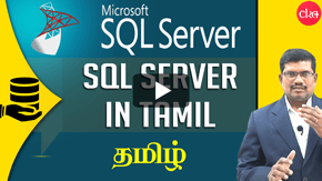 Professional SQL Server Database Design